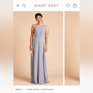 Birdy Grey Wedding/Party/Bridesmaid Dress in Dusty Blue
